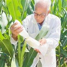 構建科技創(chuàng)新生態(tài) 壯大產業(yè)發(fā)展集群——農業(yè)科學研究和試驗發(fā)展的新路徑